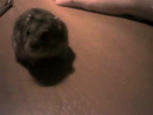 video-call-snapshot-24